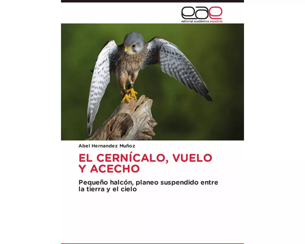 El CernÍcalo, Vuelo Y Acecho