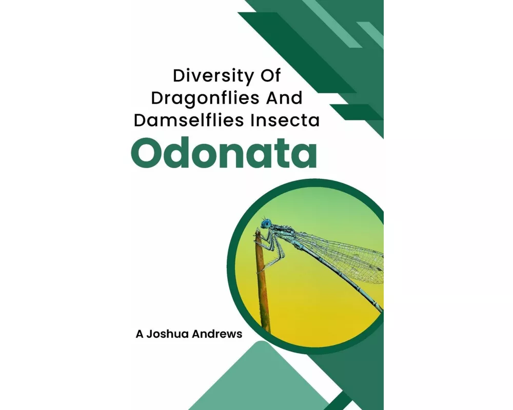 Diversity Of Dragonflies And Damselflies Insecta Odonata