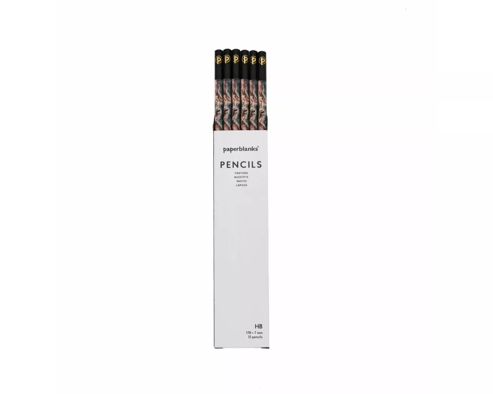 Michelangelo, Handwriting (Embellished Manuscripts Collection) Pencil (12 Pack)