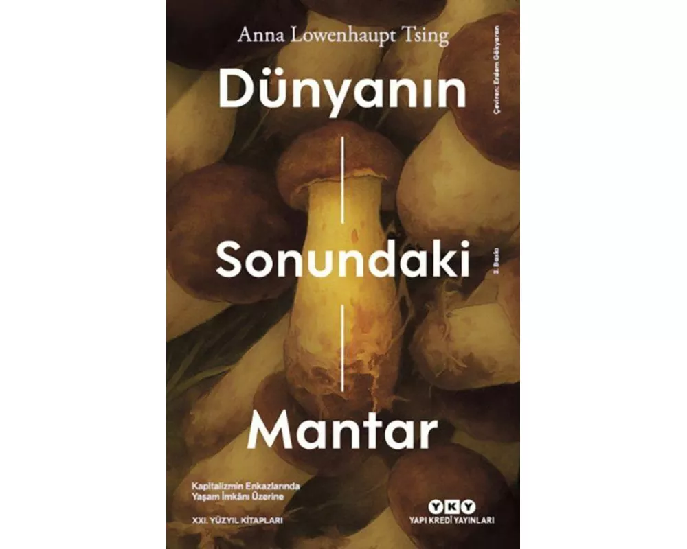 Dünyanin Sonundaki Mantar