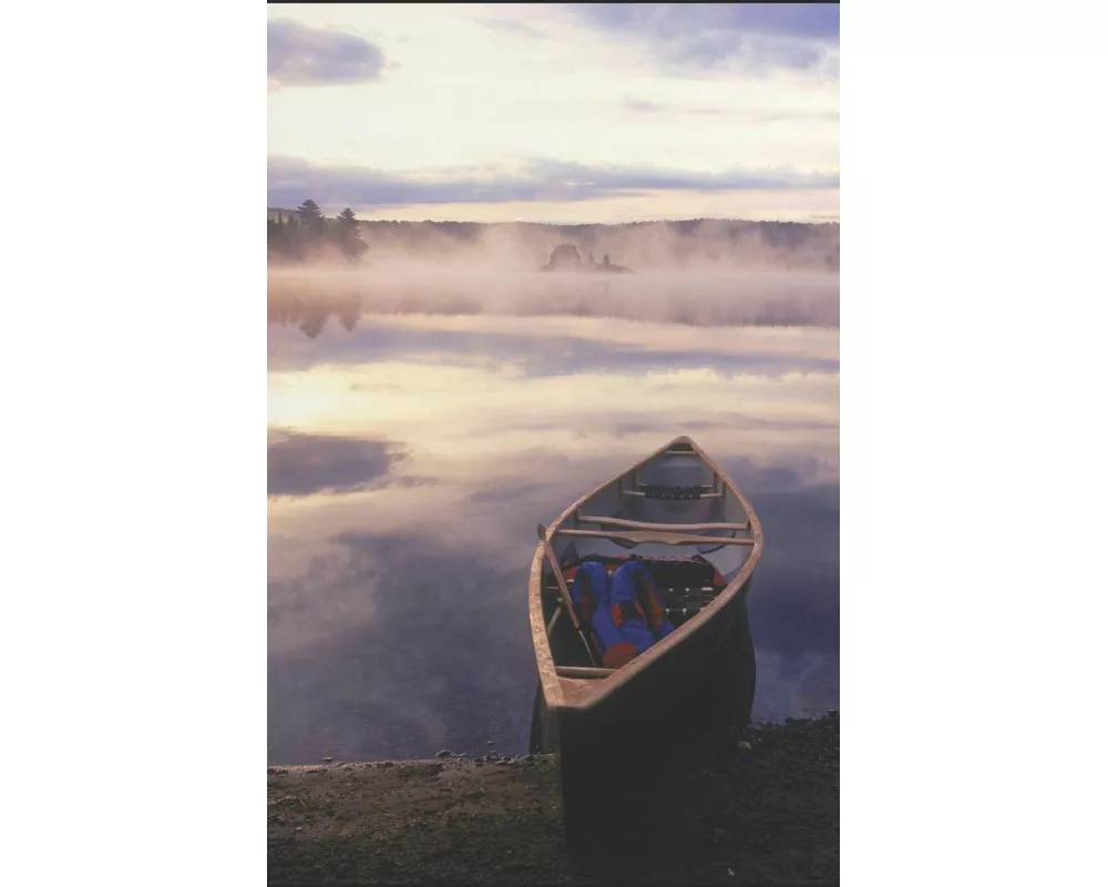 Fragments of the Dawn