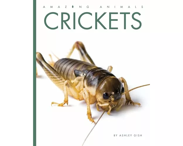 Crickets