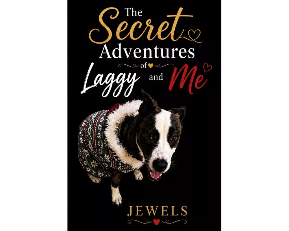 The Secret Adventures of Laggy and Me