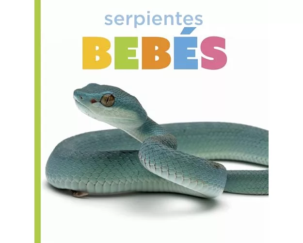 Serpientes Bebés