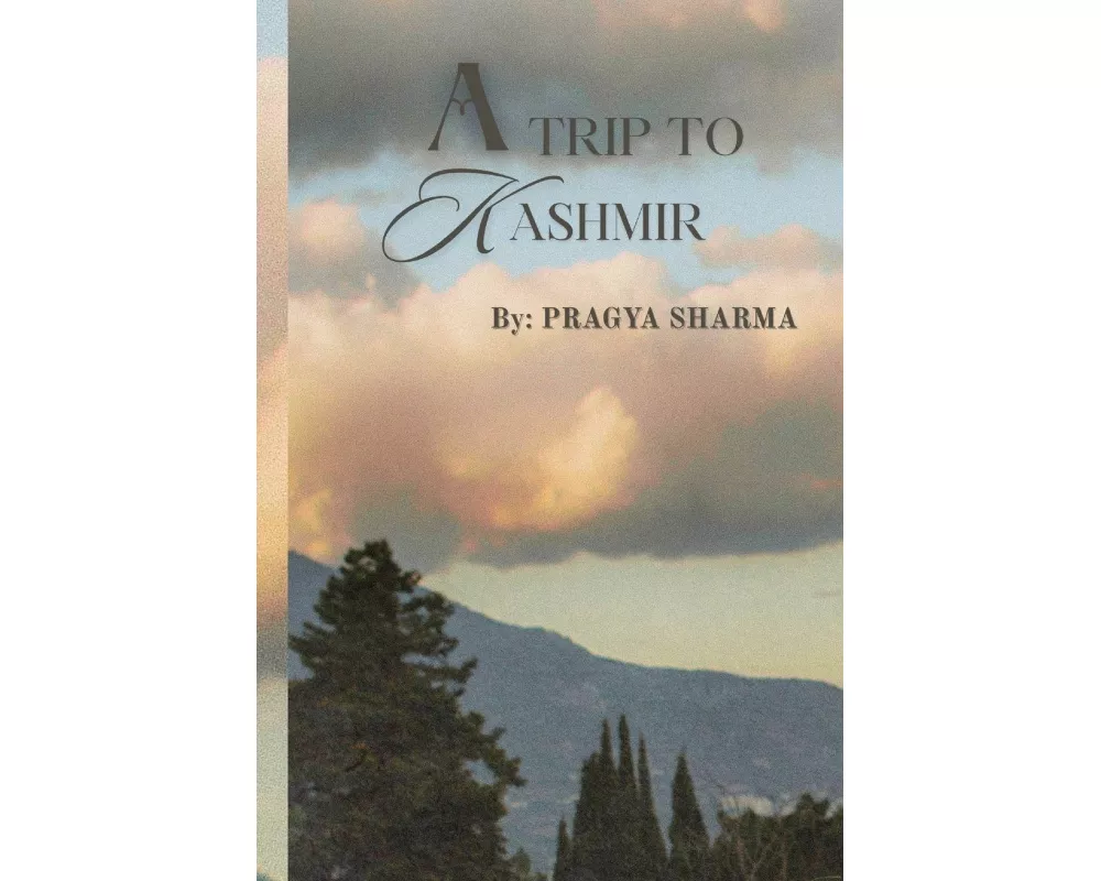 A Trip To Kashmir