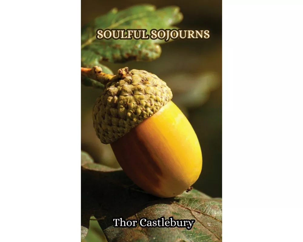 Soulful Sojourns