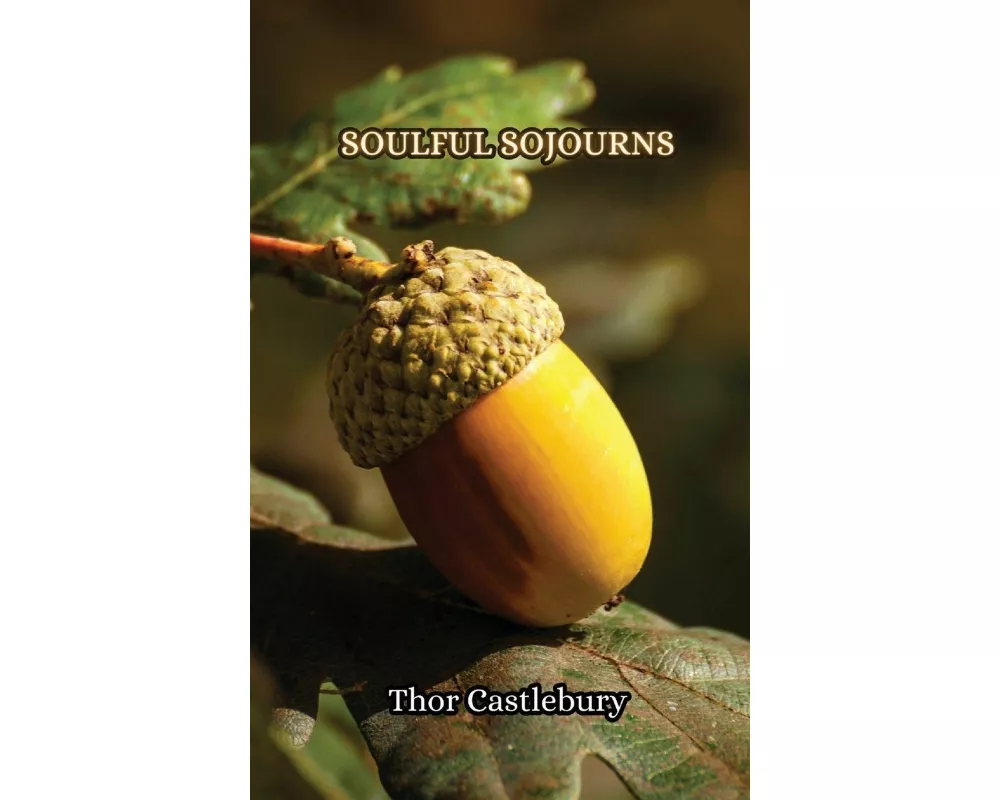 Soulful Sojourns