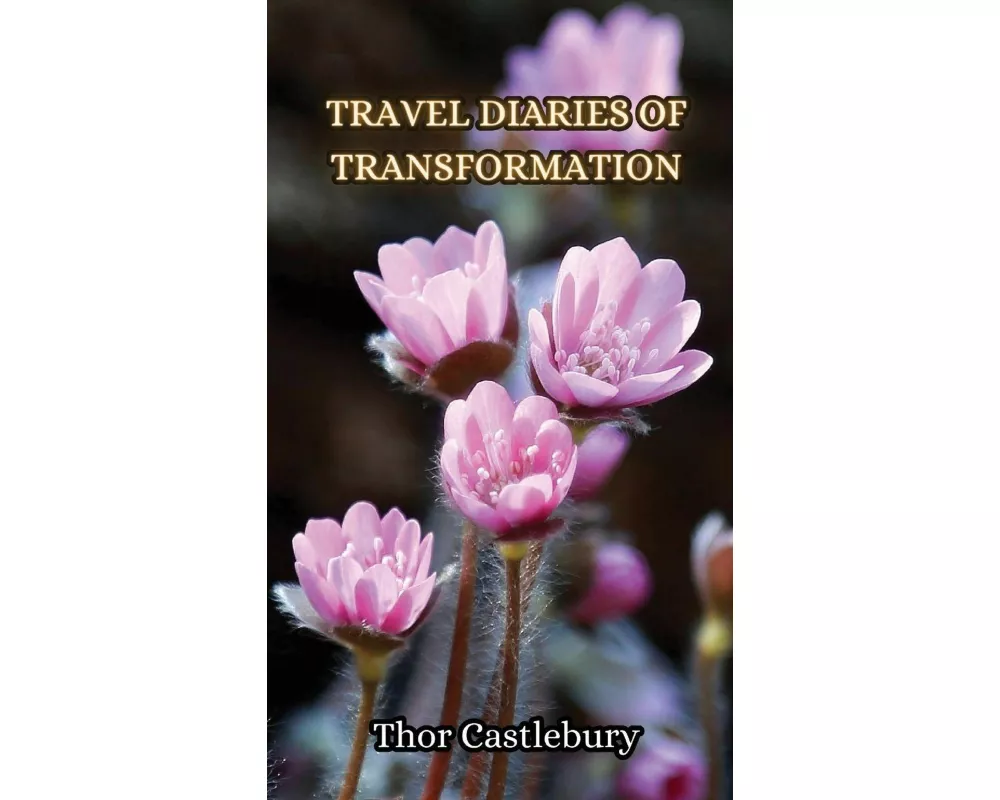 Travel Diaries of Transformation