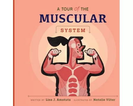 A Tour of the Muscular System