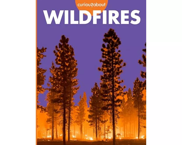 Curious about Wildfires