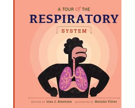 A Tour of the Respiratory System
