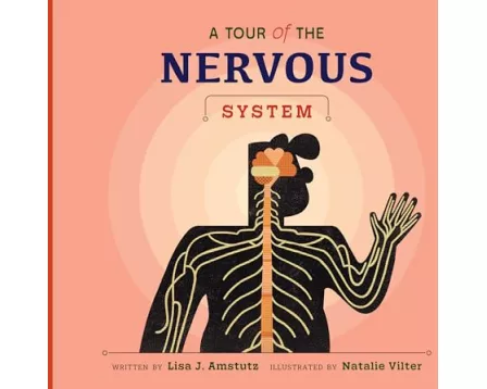 A Tour of the Nervous System