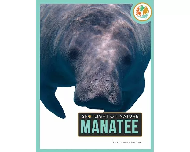 Manatee