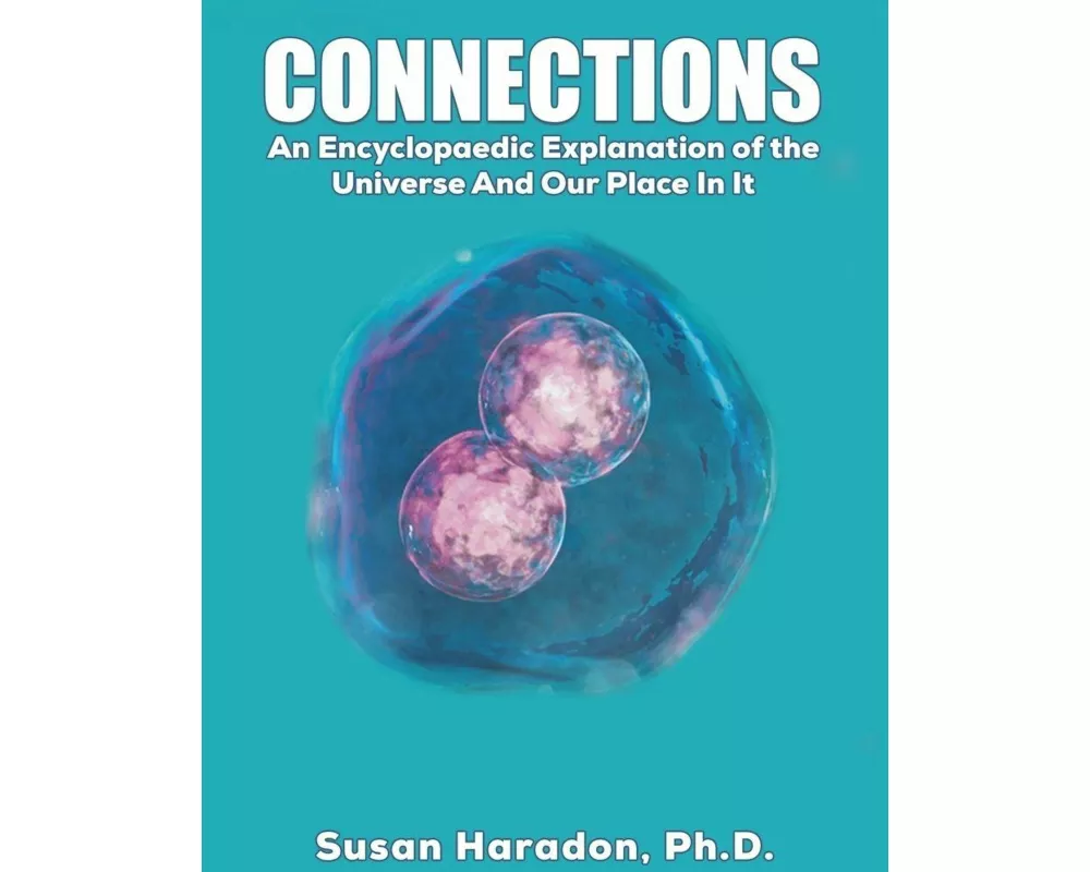 Connections