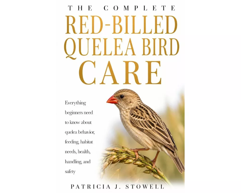 Red-billed Quelea Bird Care
