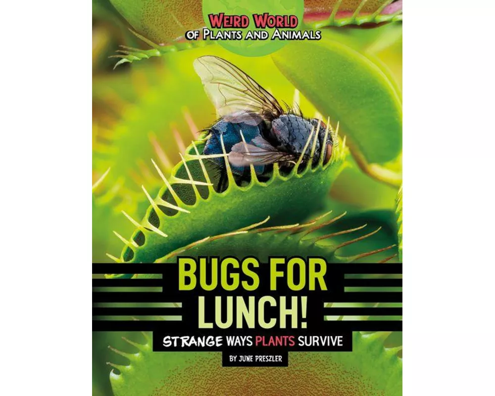 Bugs for Lunch!