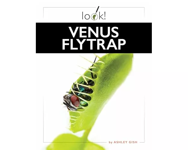 Venus Flytrap