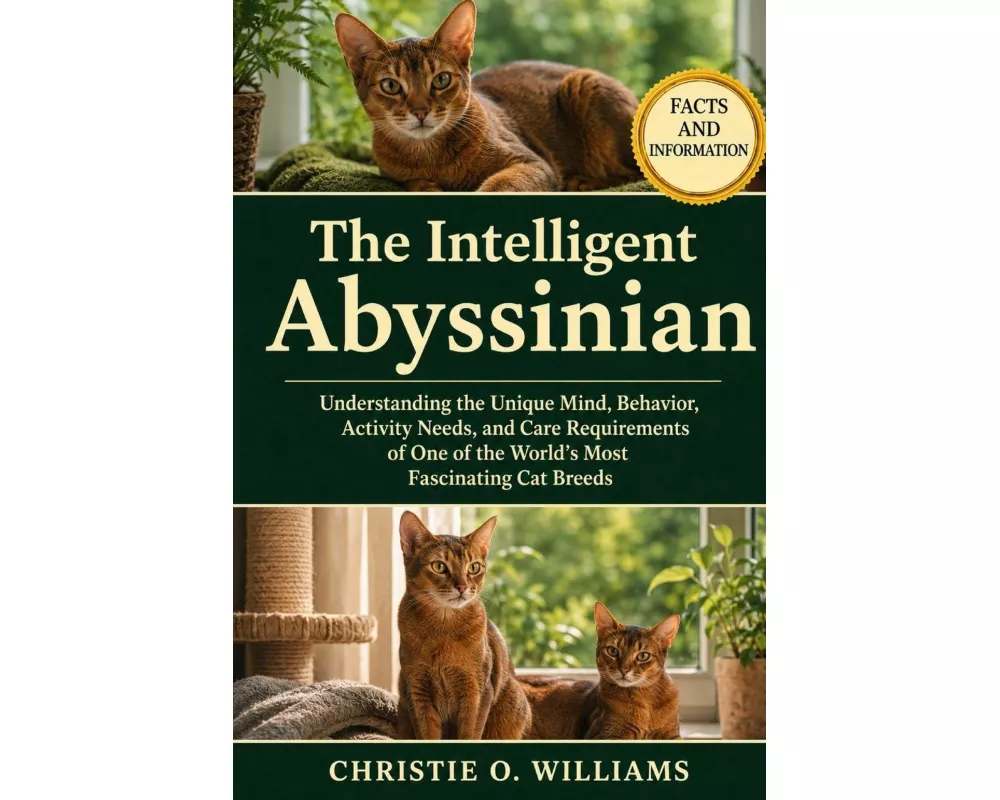 The Intelligent Abyssinian