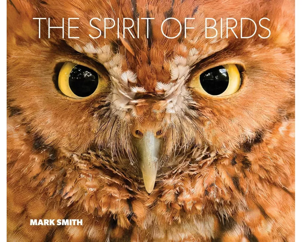 The Spirit of Birds