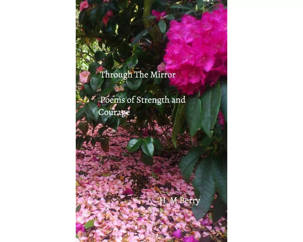 Through the Mirror