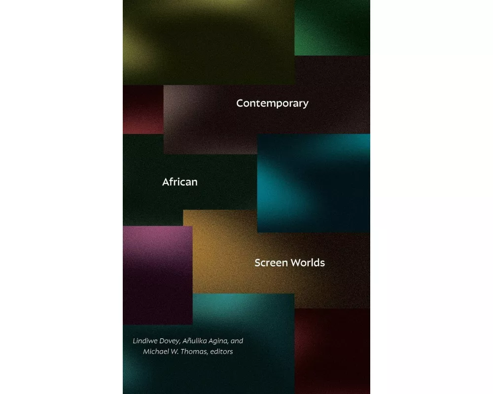 Contemporary African Screen Worlds