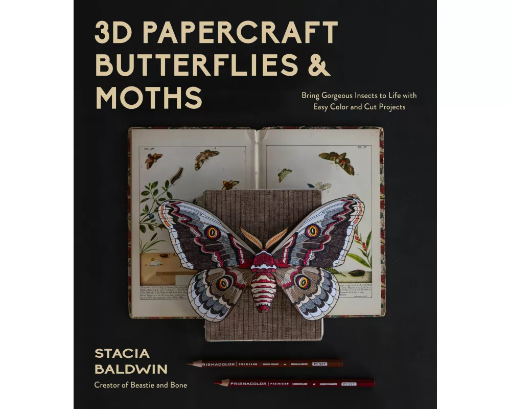3D Papercraft Butterflies and Moths