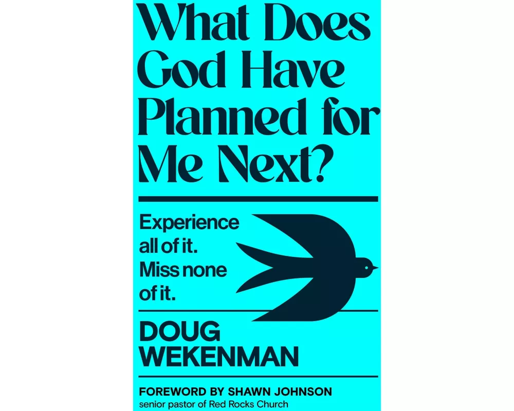 What Does God Have Planned for Me Next?