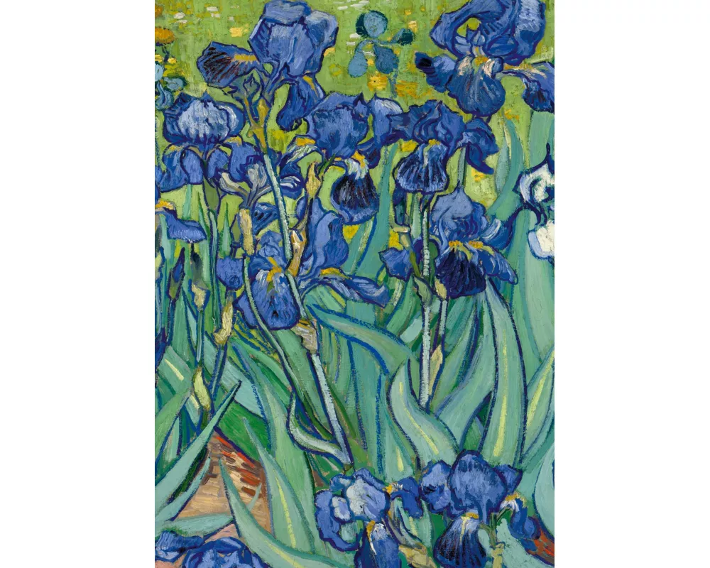 Notizbuch A5 blanko Hardcover - 100 Seiten - Motiv Schwertlilien (Irises) Vincent van Gogh - 90g/m² - FSC Papier