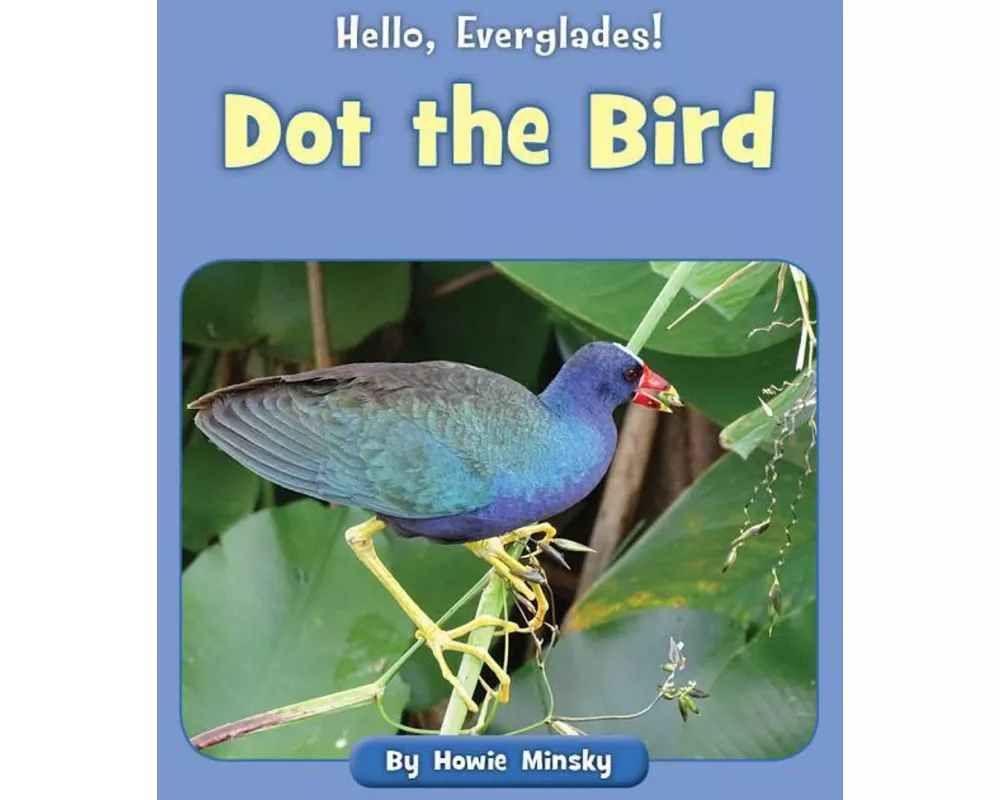 Dot the Bird