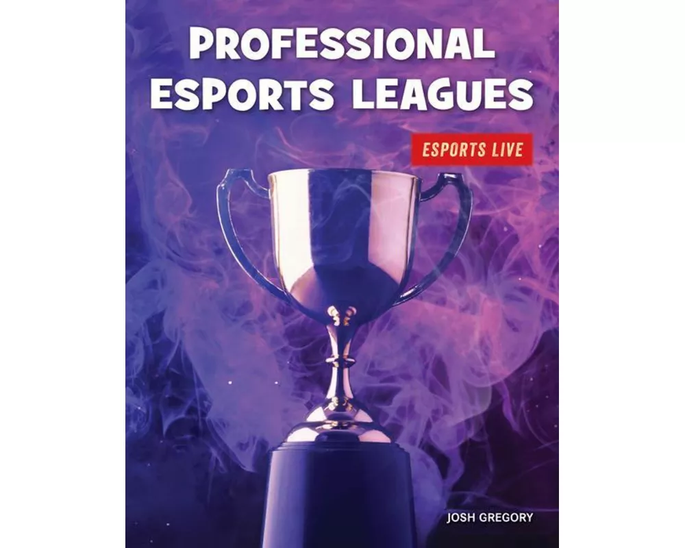 Professional Esports Leagues