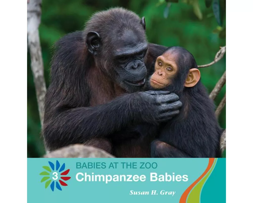Chimpanzee Babies