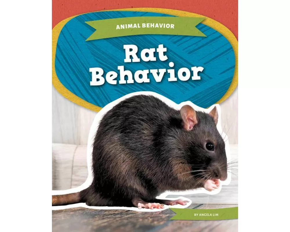 Rat Behavior