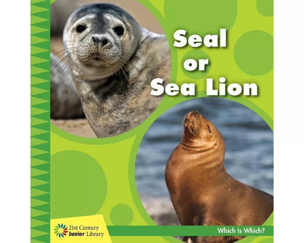 Seal or Sea Lion