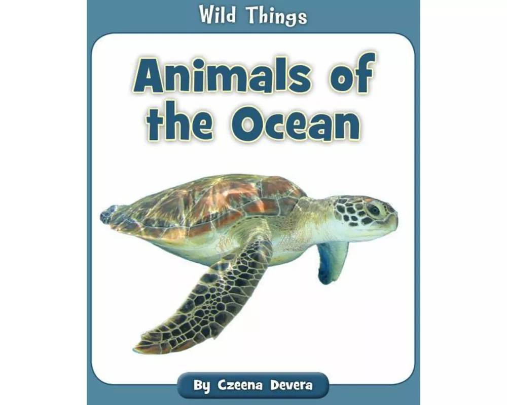 Animals of the Ocean