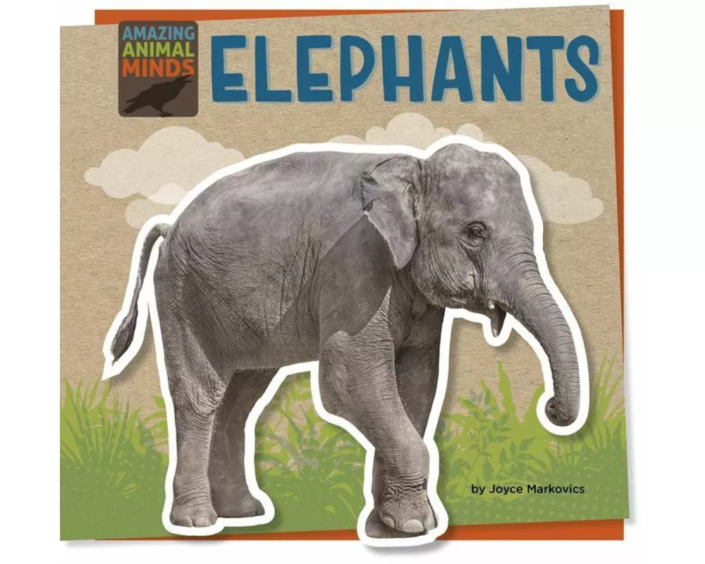 Elephants