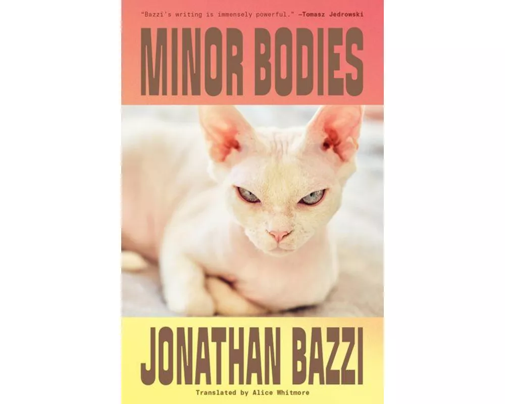 Minor Bodies