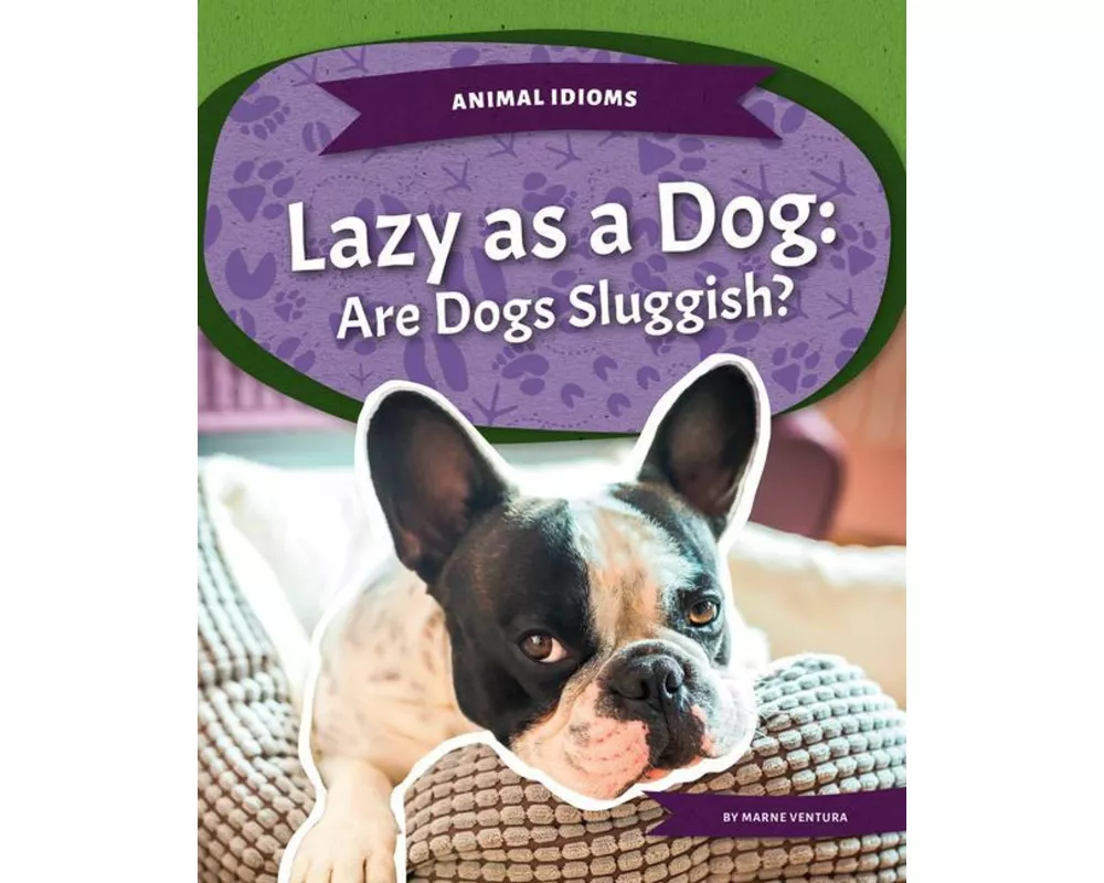 Lazy as a Dog: Are Dogs Sluggish?