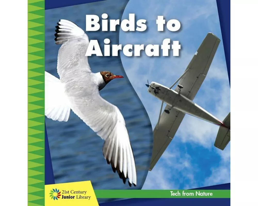 Birds to Aircraft