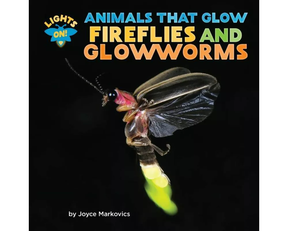 Fireflies and Glowworms