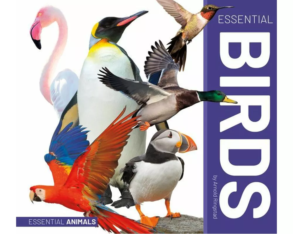 Essential Birds