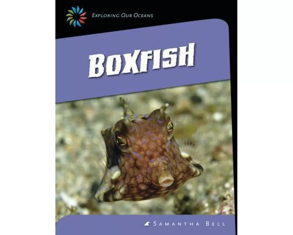 Boxfish