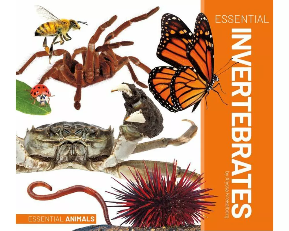 Essential Invertebrates