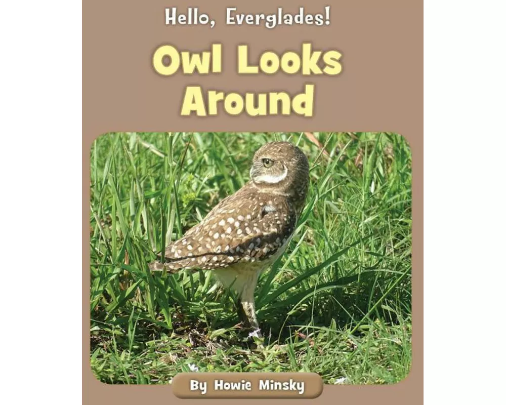 Owl Looks Around