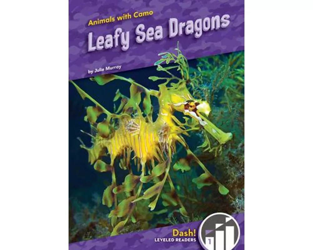 Leafy Sea Dragons