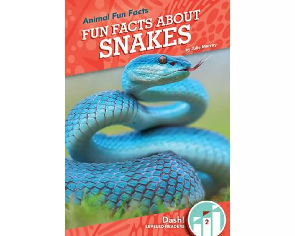 Fun Facts About Snakes
