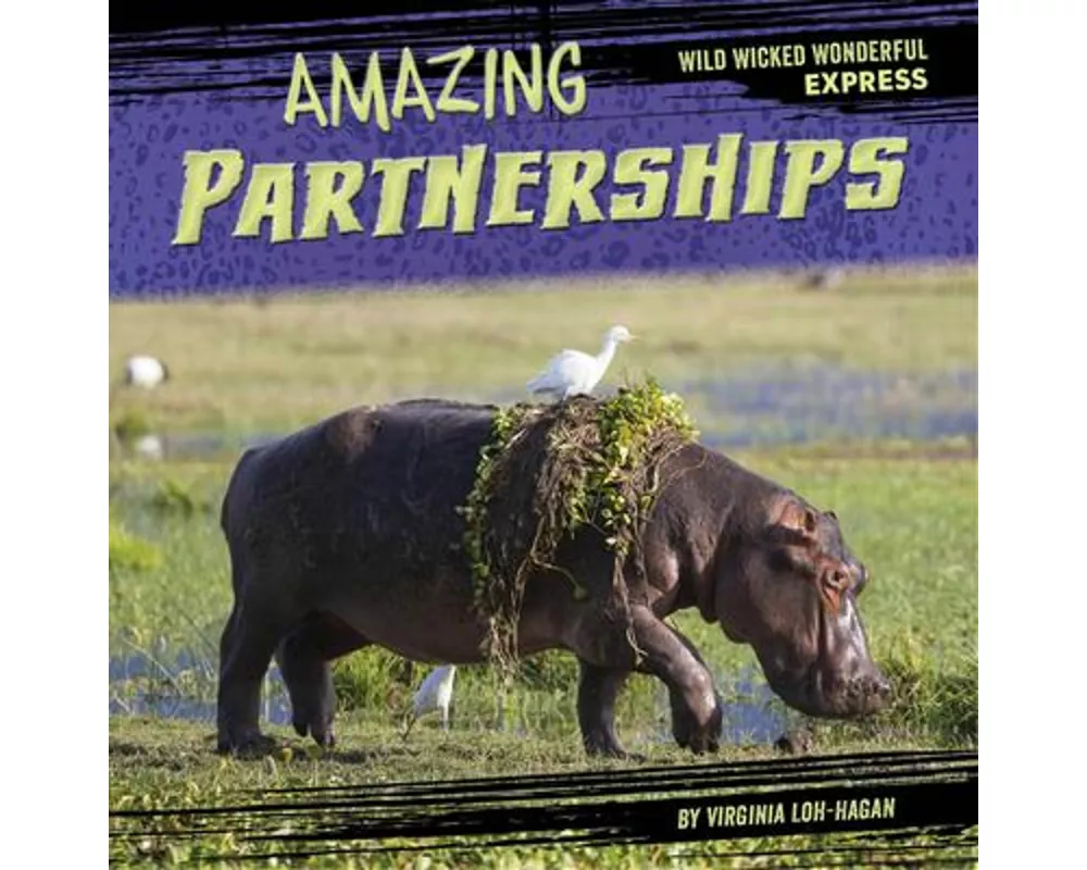 Amazing Partnerships