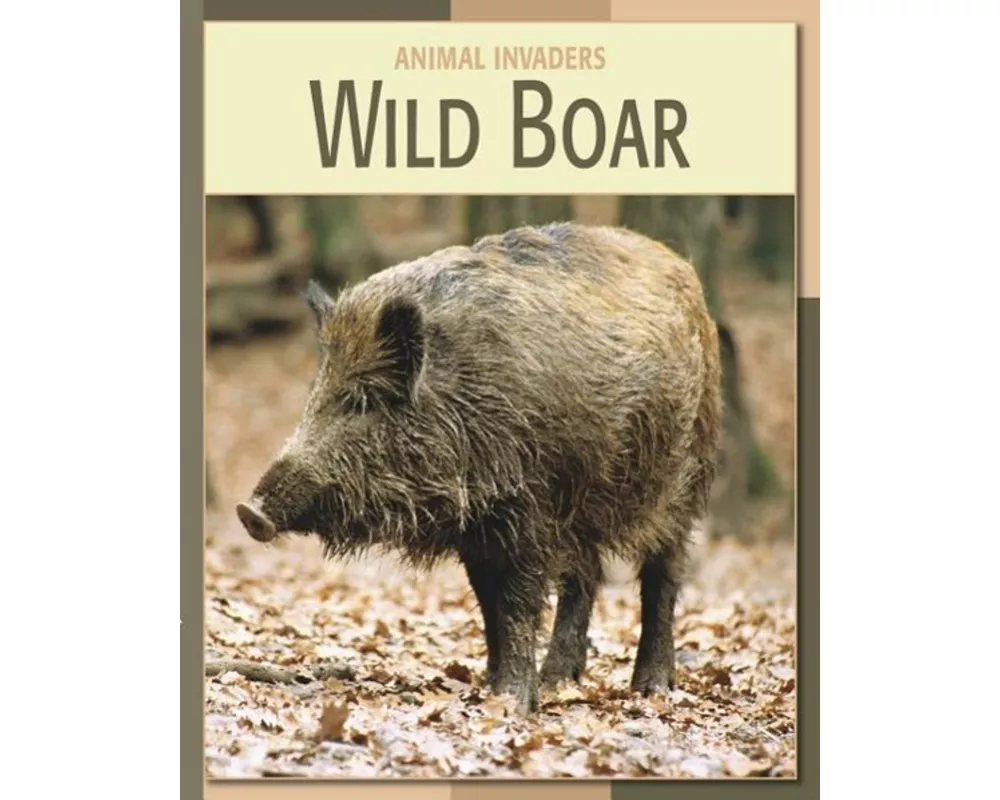 Wild Boar