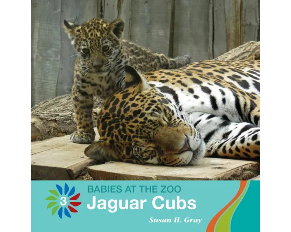 Jaguar Cubs