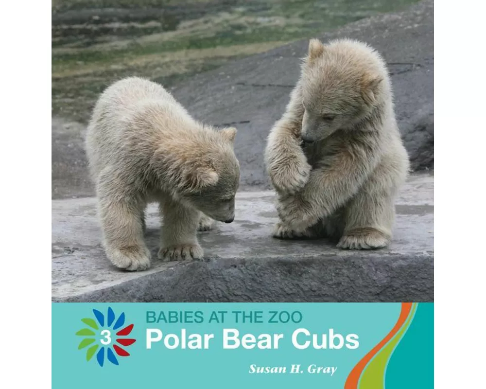 Polar Bear Cubs