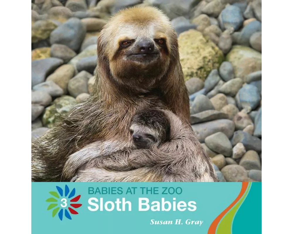 Sloth Babies